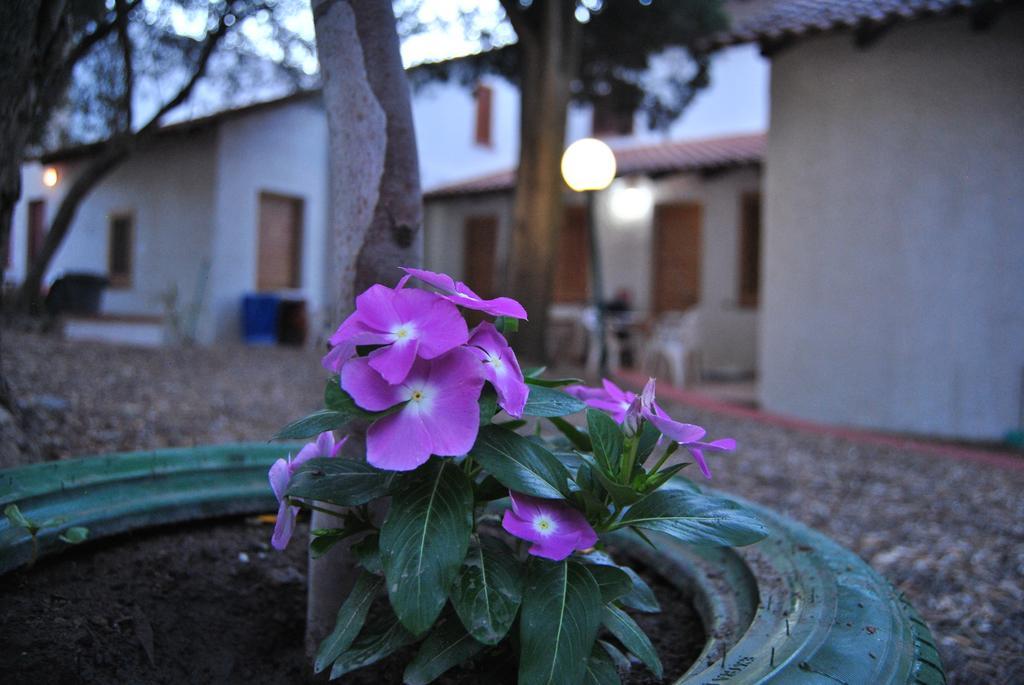 Camping B&B Gioiosa Gioiosa Marea Zewnętrze zdjęcie
