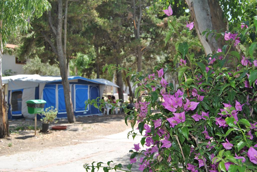 Camping B&B Gioiosa Gioiosa Marea Zewnętrze zdjęcie