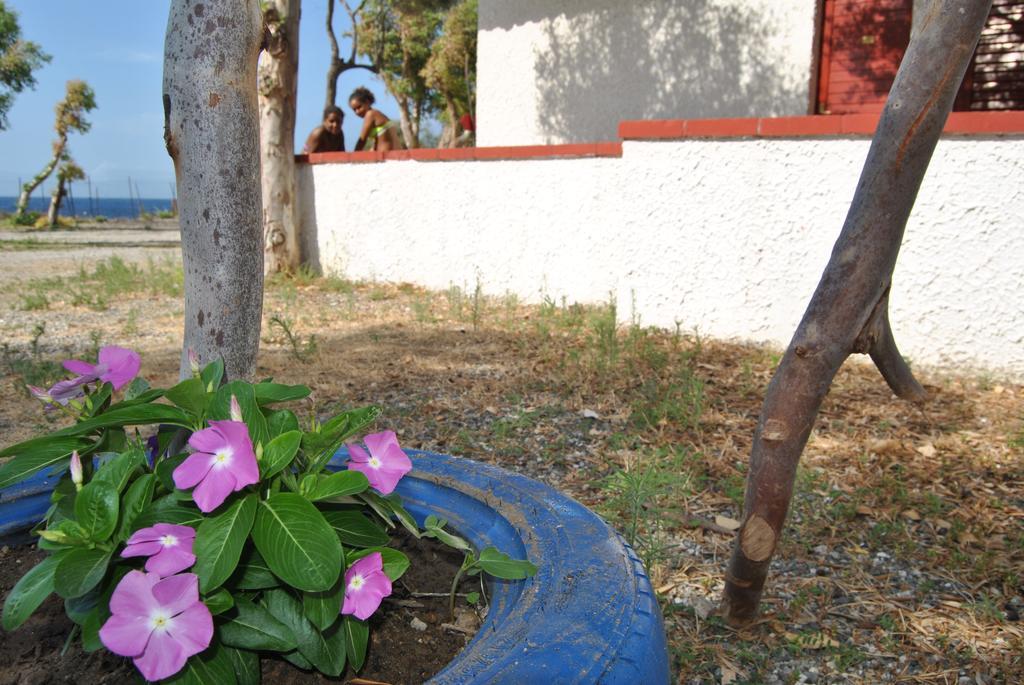 Camping B&B Gioiosa Gioiosa Marea Zewnętrze zdjęcie