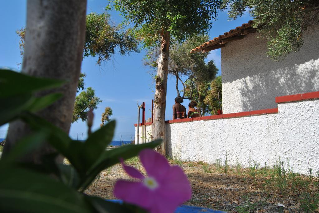 Camping B&B Gioiosa Gioiosa Marea Zewnętrze zdjęcie